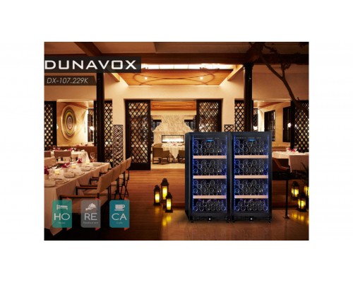 Винный шкаф Dunavox DX-107.229K