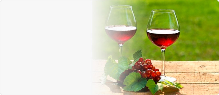 Школа сомелье Wine Masters Школа сомелье Wine Masters